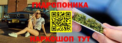 ECSTASY Гусев