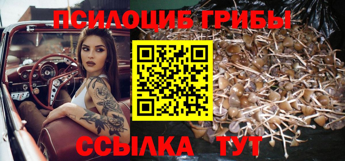 Псилоцибиновые грибы GOLDEN TEACHER Камень-на-Оби