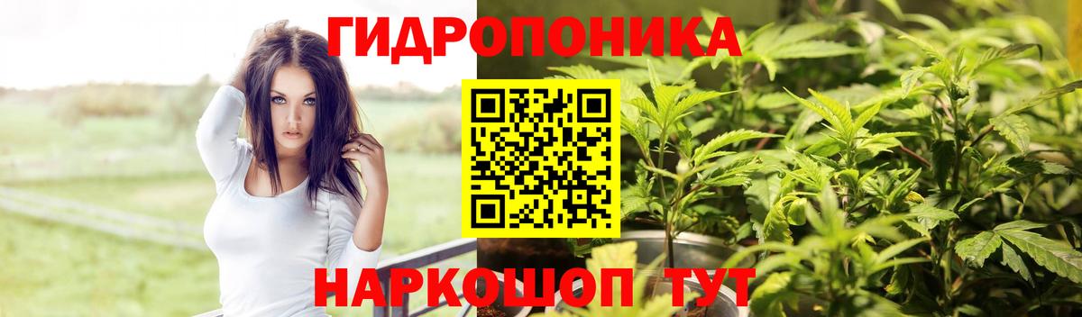 Камень-на-Оби  Каннабис OG Kush  Каннабис White Widow  Канабис гибрид  Вход с VPN 